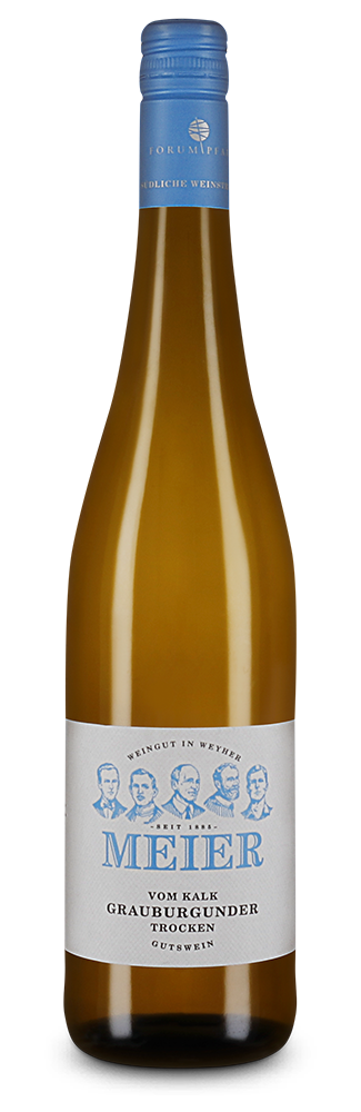 Pinot Gris vom Kalk sec 2024 – Gold