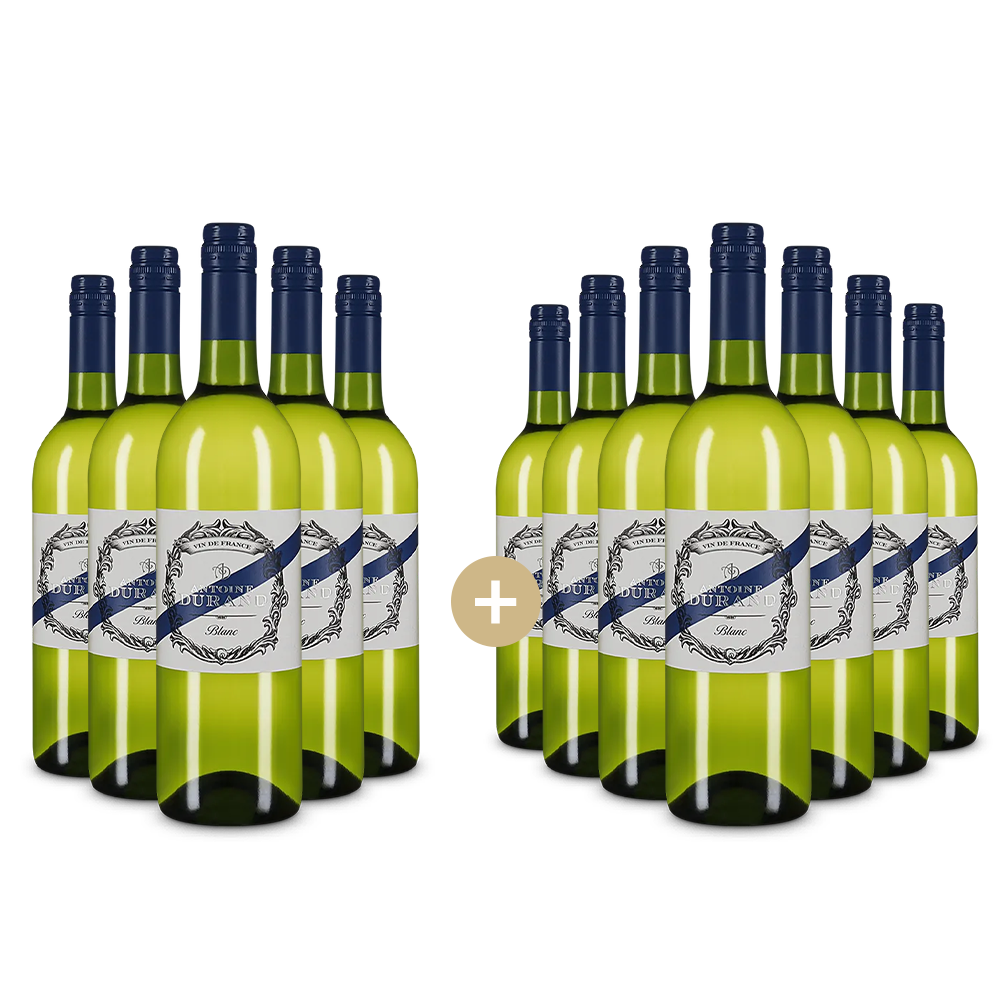 5+7 sticle Blanc 2024 – Gold