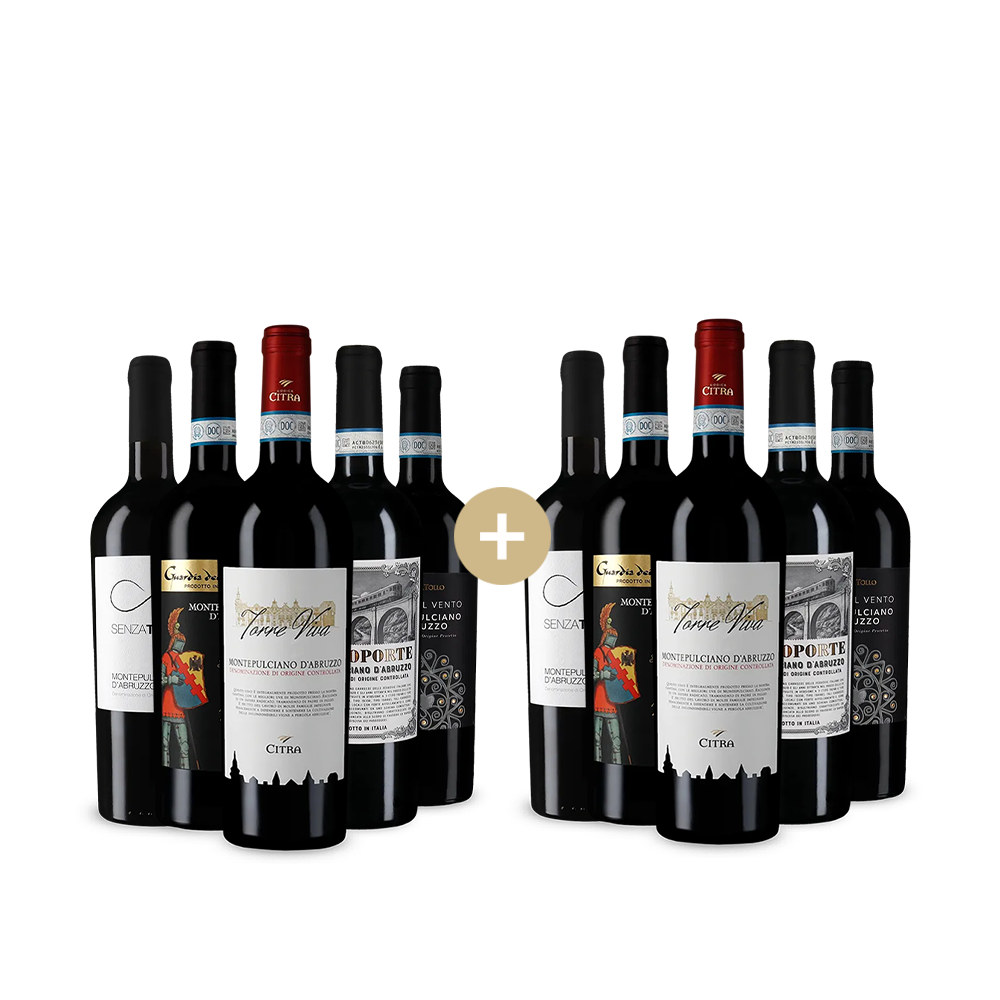 5+5 sticle Montepulciano d´Abruzzo: Unsere Favoriten – Gold