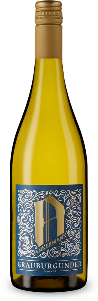 Pinot Gris sec 2023
