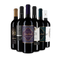 Primitivo de top din regiunea Apulia – Gold