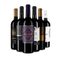 Primitivo de top din regiunea Apulia – Gold