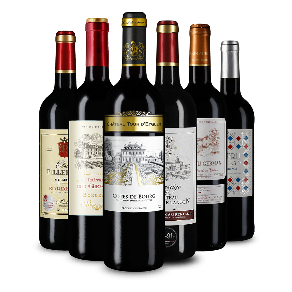 Vinuri roșii de top din Bordeaux