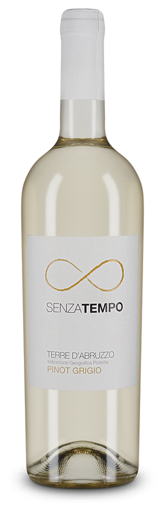 Cantina Tollo Senza Tempo Pinot Grigio 2024 – Gold