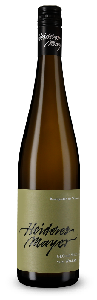Grüner Veltliner vom Wagram sec 2024 – Gold