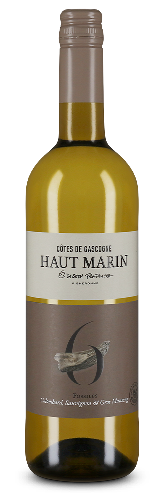 Côtes de Gascogne Blanc N°6 Fossiles 2024 – Gold