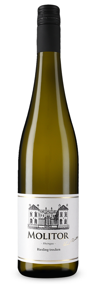 Rheingau Riesling sec 2024 – Gold
