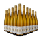 10 sticle Riesling sec 2024 – Gold
