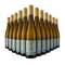 12 sticle Riesling sec 2024 – Gold