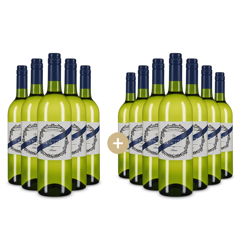 5+7 sticle Blanc 2024 – Gold