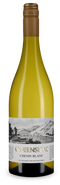 Chenin Blanc 2025 – Gold