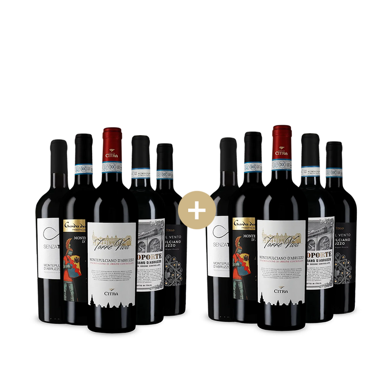 5+5 sticle Montepulciano d´Abruzzo: Unsere Favoriten – Gold