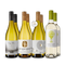 Sauvignon Blanc internațional de top în pachet de 4x2 sticle – Gold