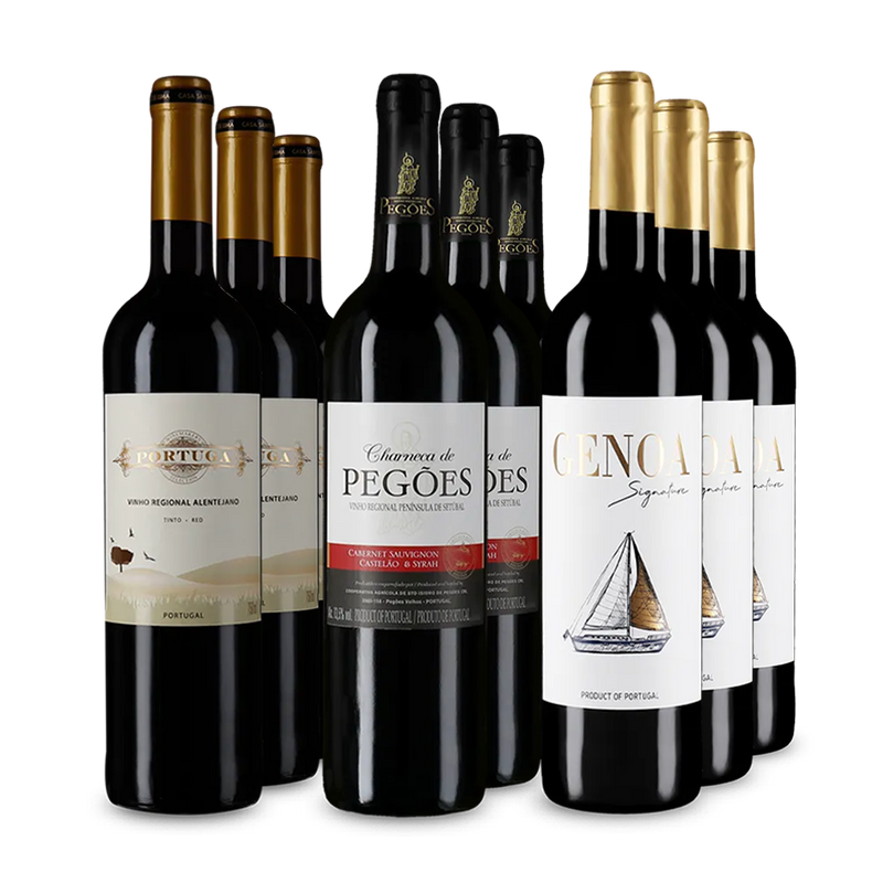 Vin roșu portughez de top în pachet de 3x3 sticle – Gold