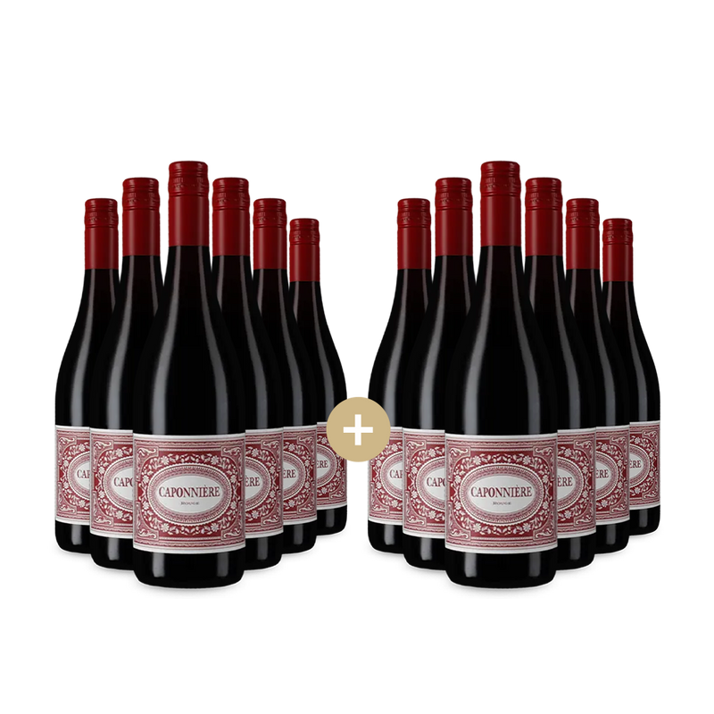 6+6 sticle Rouge 2023 – Gold