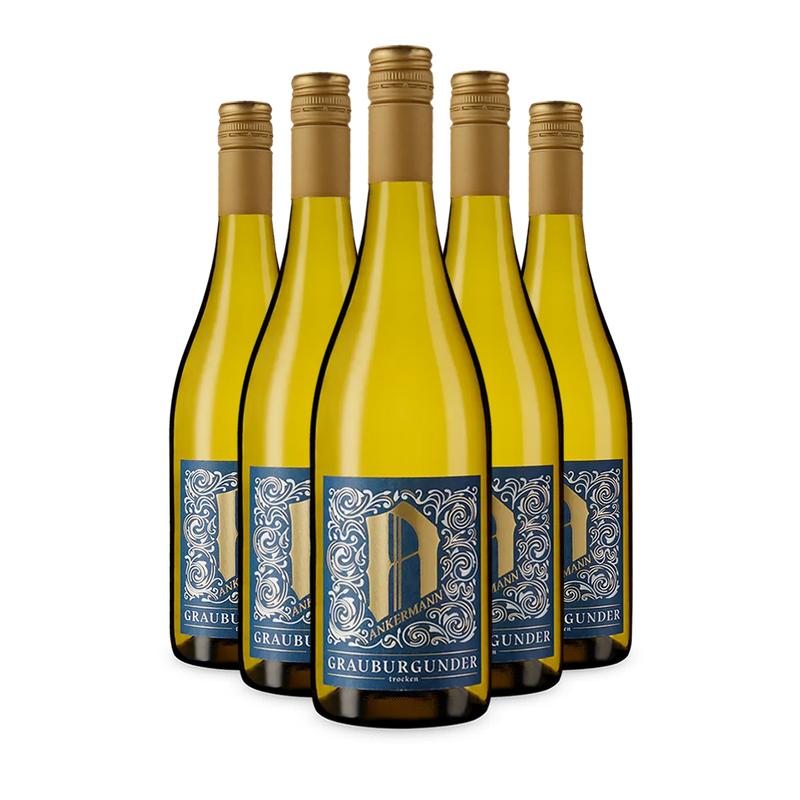 5 sticle Pinot Gris sec 2024 – Gold