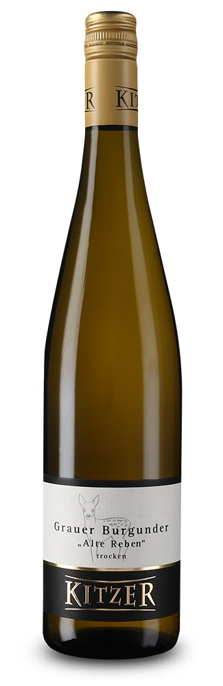 Pinot Gris Alte Reben sec 2025