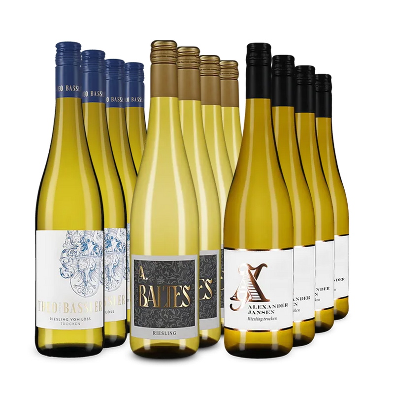 Riesling de top din Pfalz în pachet de 3x4 sticle – Gold