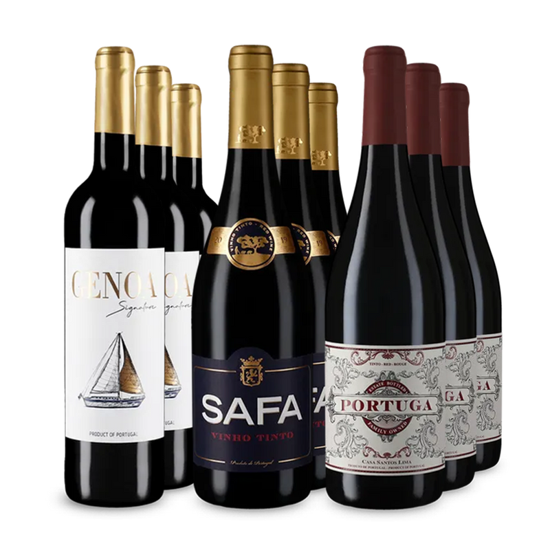 Vinuri roșii portugheze de top în pachet de 3x3 sticle – Gold