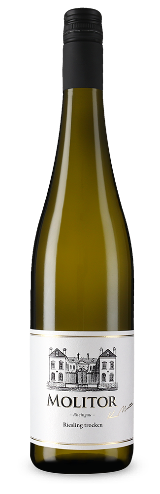 Molitor Rheingau Riesling sec 2025 – Gold