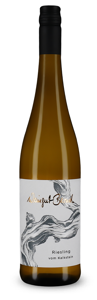 Riesling vom Kalkstein sec 2025