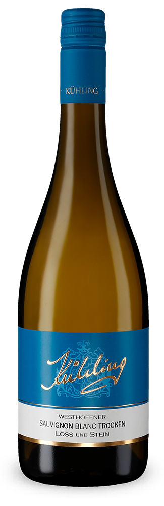 Westhofener Sauvignon Blanc Löss und Stein sec 2025