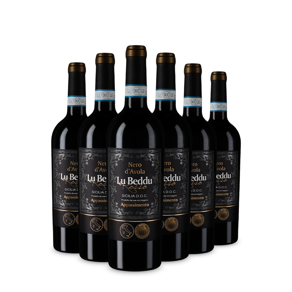 6 sticle Nero d’Avola Sicilia Appassimento 2023