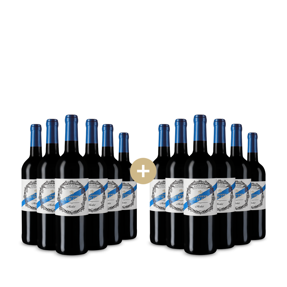 6+6 sticle Merlot 2024