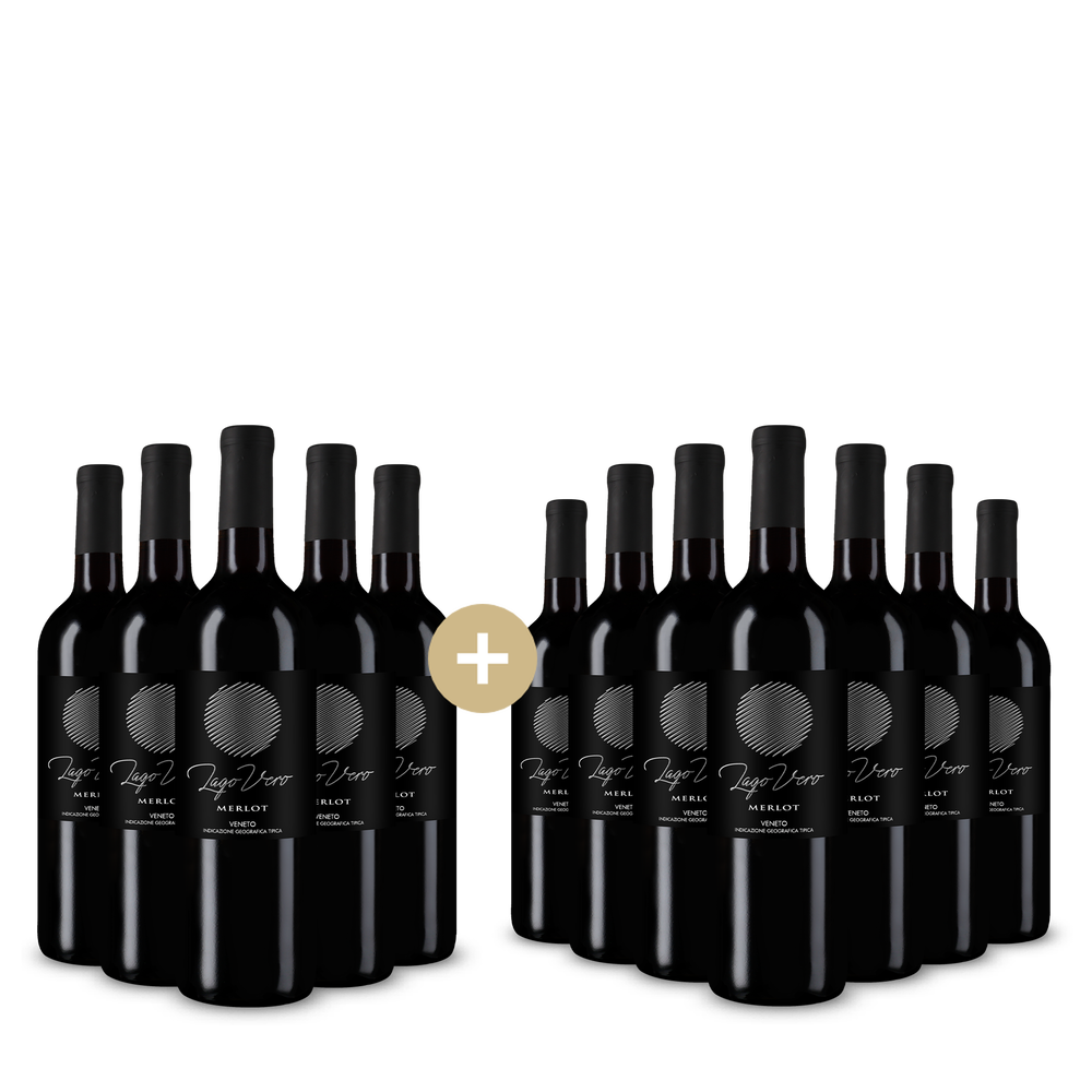 5+7 sticle Merlot Veneto 2025