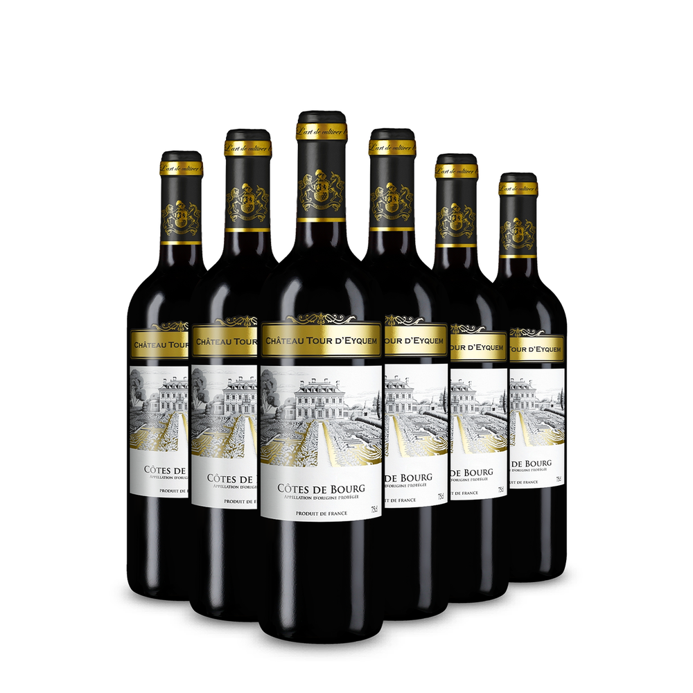 6 sticle Côtes de Bourg 2022