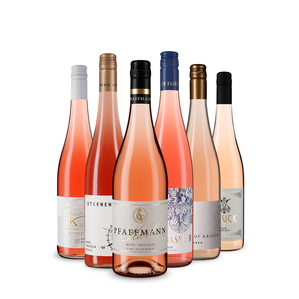 6x1 Selecție de roze germane pentru vară