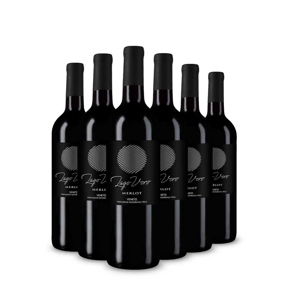 6 sticle Merlot Veneto 2025