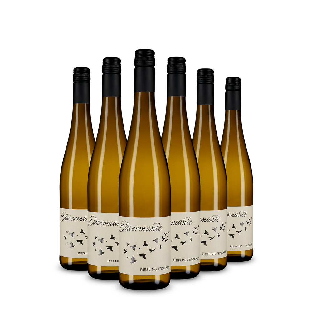 6x Riesling sec 2025