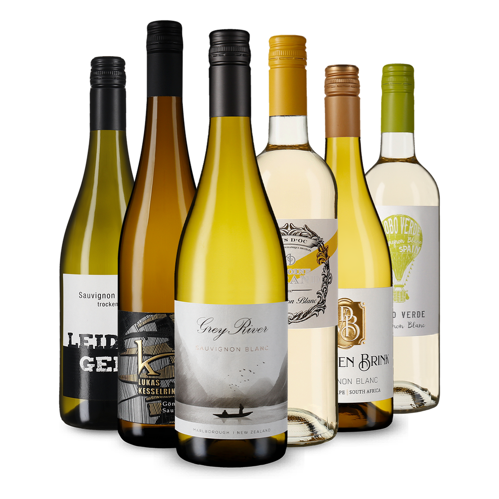 6x1 Selecție de Sauvignon Blanc din întreaga lume