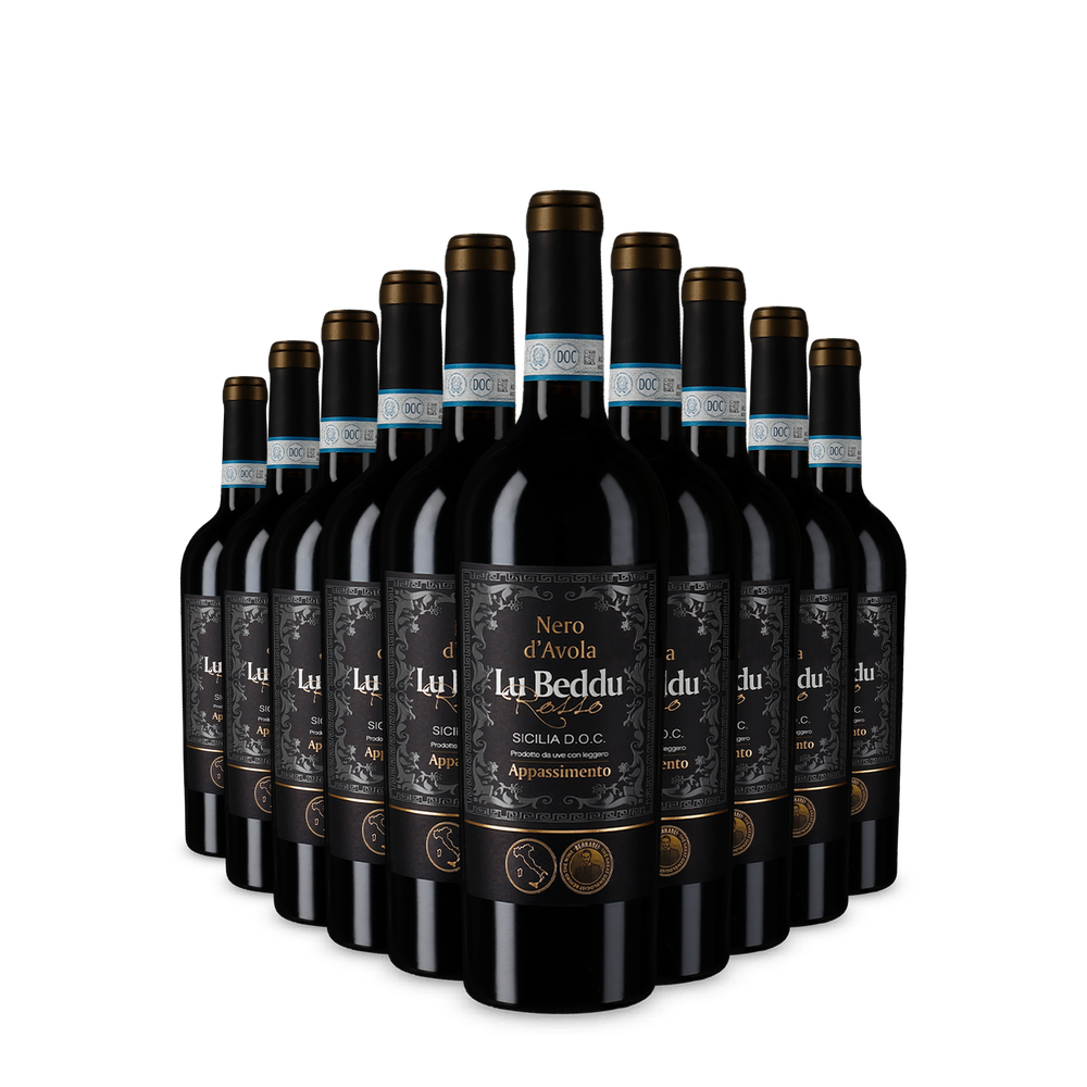10x Nero d’Avola Sicilia Appassimento 2023