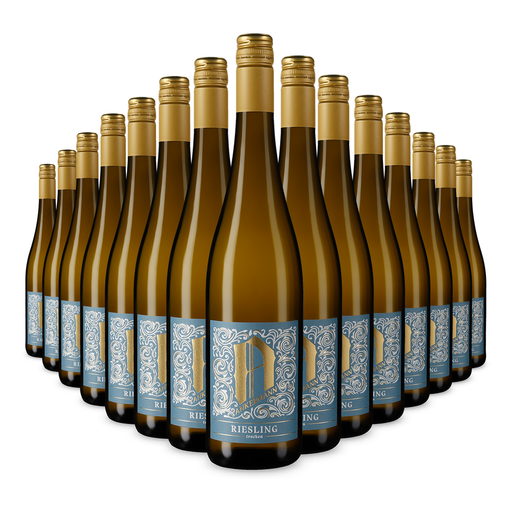 15x Riesling sec 2025